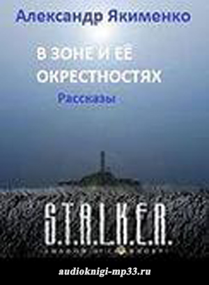 В Зоне и её окрестностях. Сборник рассказов (S.T.A.L.K.E.R.). Якименко