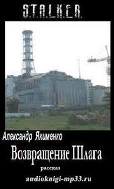 Возвращение Шлага (S.T.A.L.K.E.R.). Якименко Александр. Аудиокнига вид Возвращение Шлага (S.T.A.L.K.E.R.). Якименко Александр. Аудиокнига вид